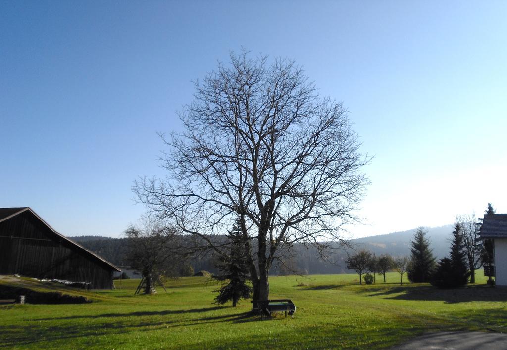 Gasthof-Pension-Kraus Achslach エクステリア 写真