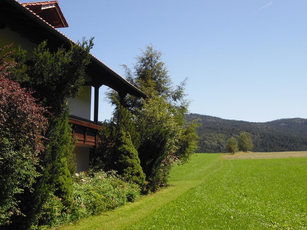Gasthof-Pension-Kraus Achslach エクステリア 写真