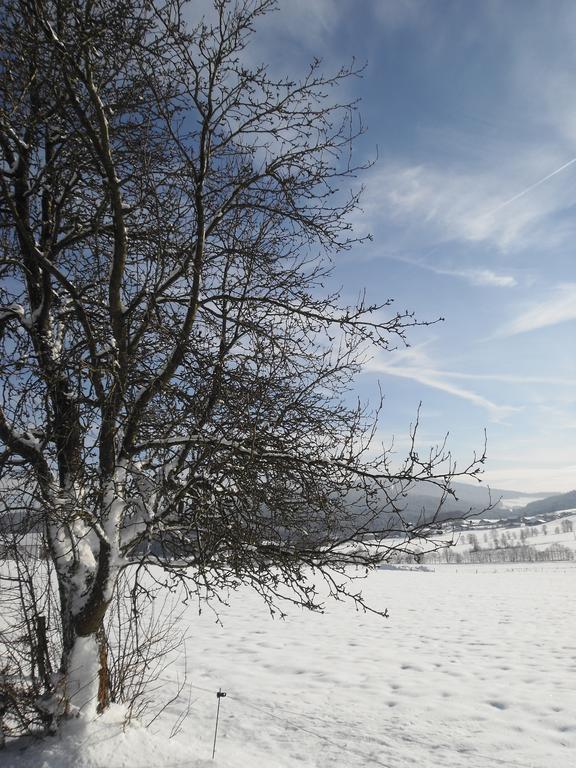 Gasthof-Pension-Kraus Achslach エクステリア 写真