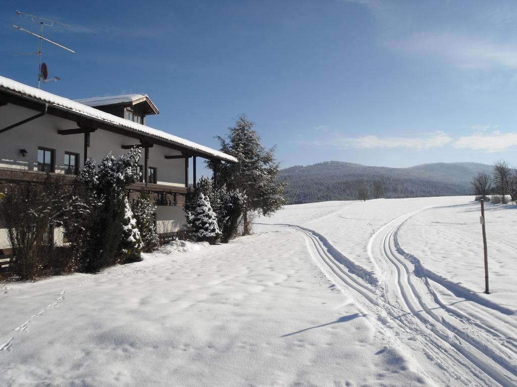 Gasthof-Pension-Kraus Achslach エクステリア 写真
