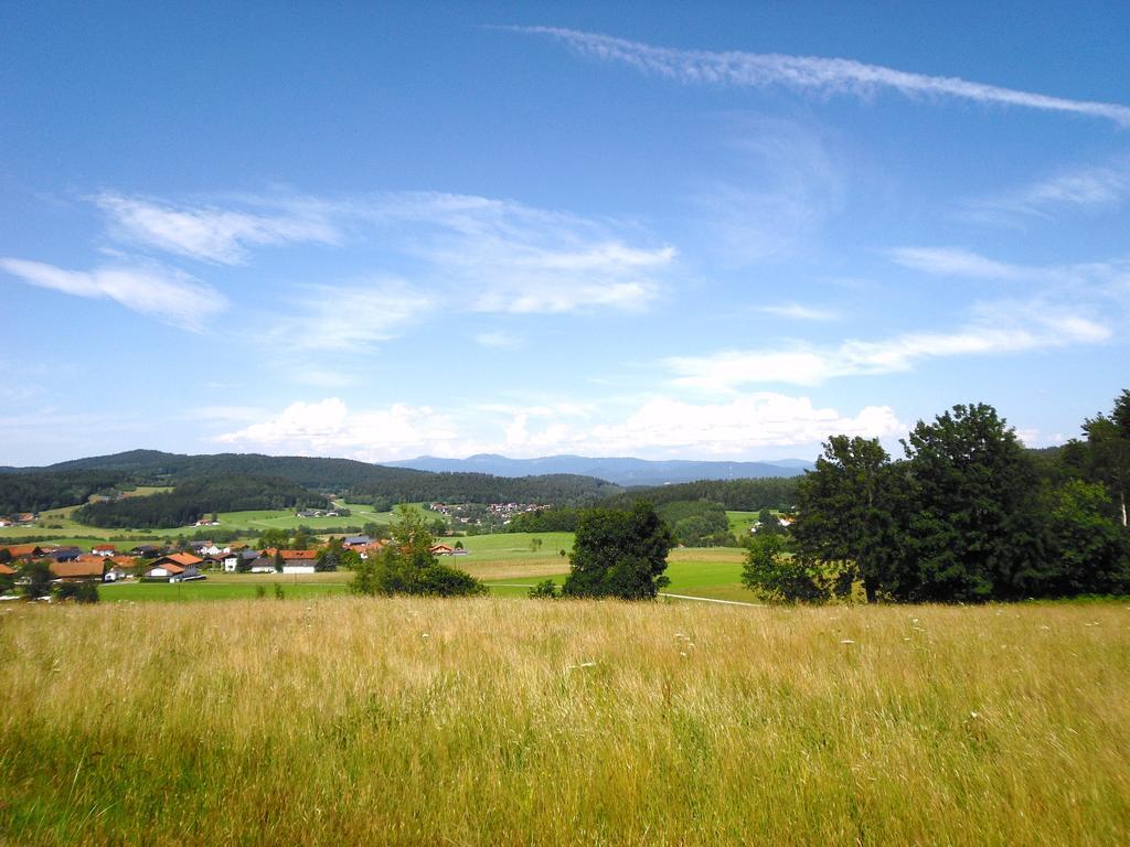 Gasthof-Pension-Kraus Achslach エクステリア 写真